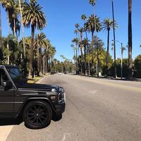 Отзыв от Алексей - виза ДТВ